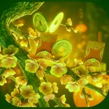 Xổ số